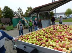 Obsternte Und Maischen 2012 25